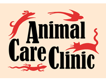 Animal Care Clinic Logo and Ads
