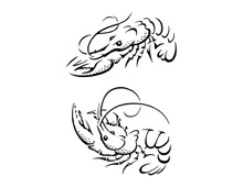 Crawfish Inked Illustrations