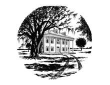 Southern Plantation Editorial Ink Illustration